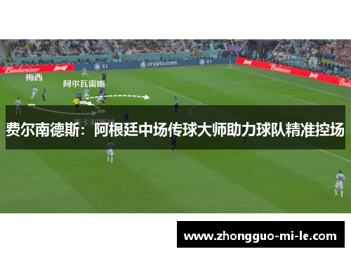 费尔南德斯：阿根廷中场传球大师助力球队精准控场