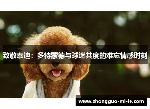 致敬泰迪：多特蒙德与球迷共度的难忘情感时刻