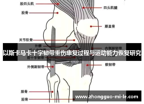 以斯卡马卡十字韧带重伤康复过程与运动能力恢复研究